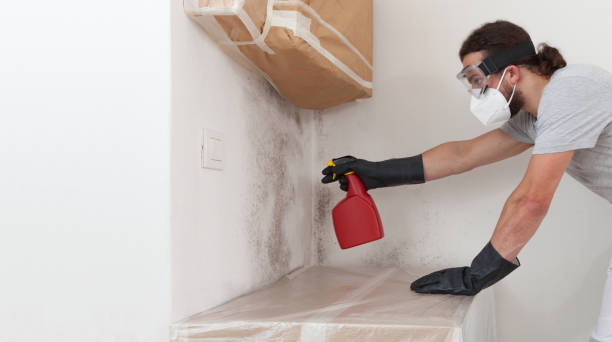 Professional Attic Mold Removal technician working in Bahama, NC